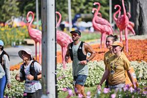 BIB: 
                            <button type="button" onclick="openModal(27793282)" class="btn btn-primary btn-sm float-right btn-popup" data-toggle="modal" data-target=".modal-high-quality">
                        <i class="fas fa-shopping-cart"></i> Add to Cart
                    </button>
                                            <button type="button" onclick="isThisMe(27793282, true)" class="btn btn-success btn-sm float-right btn-popup btn-isme hidden" data-toggle="tooltip" data-placement="bottom" title="นี่คือรูปของคุณใช่ไหม คลิกที่นี่เพื่อเอาเข้าอัลบั้ม">
                        <i class="fas fa-plus"></i> Add to album
                    </button>
                    <button type="button" onclick="isThisMe(27793282, false)" class="btn btn-warning btn-sm float-right btn-popup btn-isnotme hidden">
                        <i class="fas fa-ban"></i> Remove from album
                    </button>